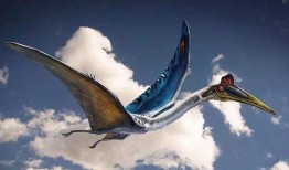 风神翼龙爆料了吗视频讲解,视频讲解带你领略古生物魅力