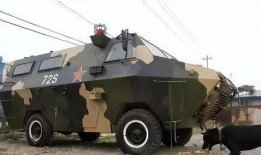 爆料装甲车上路视频,揭秘神秘上路视频背后的真相